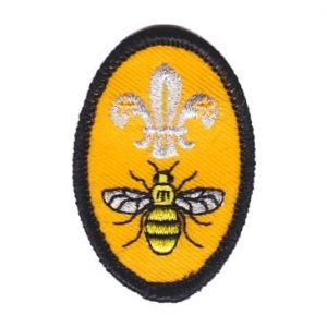 Manchester Bee Badge